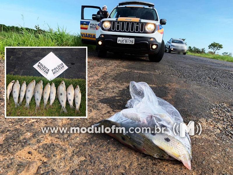 Antes de pescar procure saber se não está em época de reprodução dos peixes para não ser “fisgado” pela PM