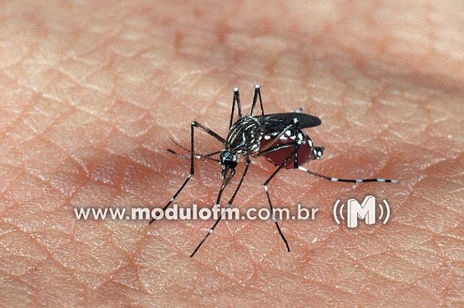 Prefeitura contrata dez novos agentes de endemias para ações...