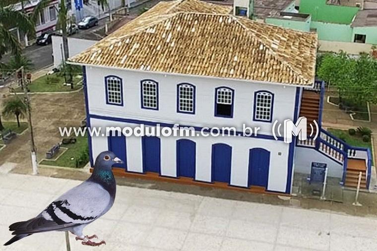 Secretaria de Cultura planeja adesivar parede de vidro do...
