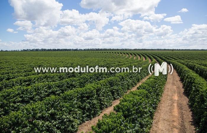 Reunião discute chegada de migrantes para colheita do café em Patrocínio