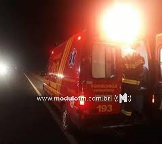 Colisão entre caminhão e boi deixa animal morto e veículo destruído na BR-365