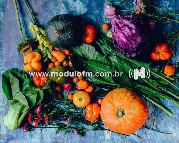 Alunos da rede estadual começam a receber kits de alimentação