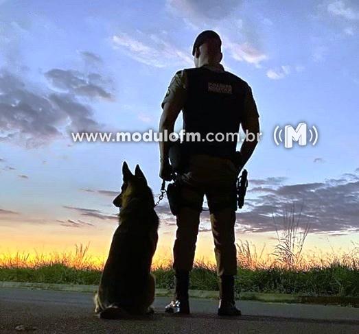Com o auxílio de cães farejadores, PM encontra droga e prende dois suspeitos