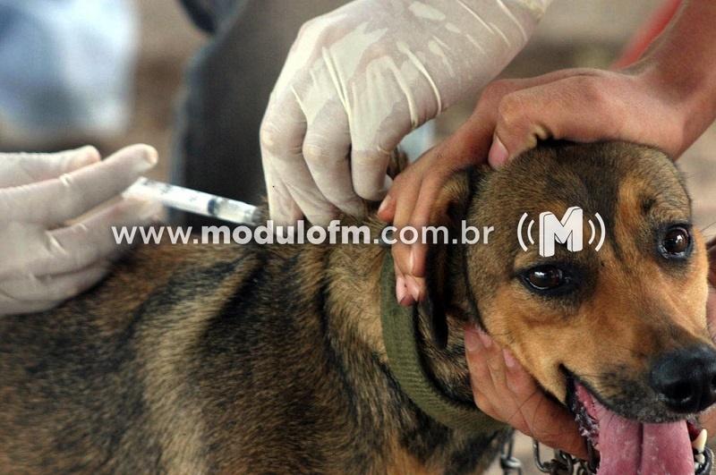 Campanha de vacinação antirrábica começa hoje em Patrocínio