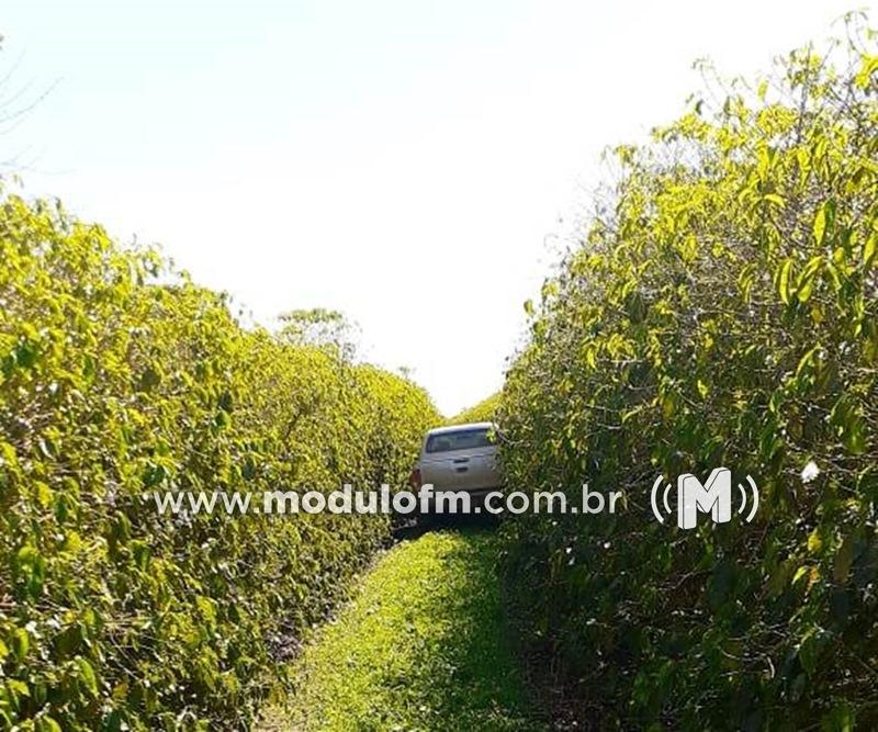 Caminhonete roubada em Chapadão de Ferro é encontrada em fazenda de Celso Bueno