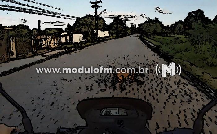 Motociclista cai ao atropelar cachorro e fica ferido