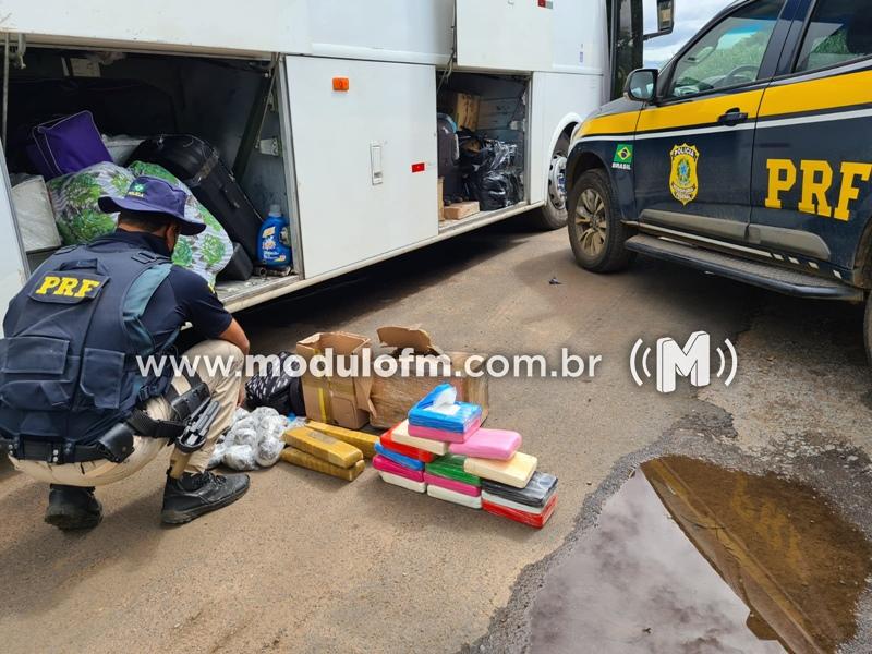 PRF apreende drogas e pássaros silvestres em ônibus na BR-365
