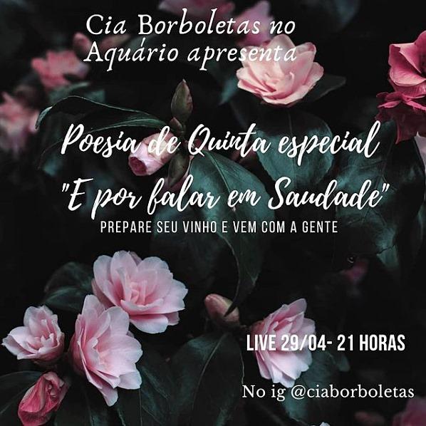 Cia Borboletas no Aquário realiza a live