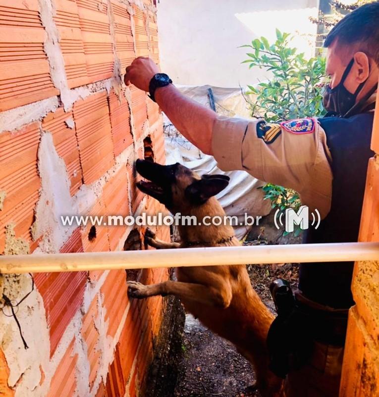 Cinco pessoas são presas e drogas são apreendidas no...