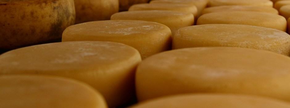 Governador anuncia medidas de fortalecimento da produção de queijo artesanal em Minas Gerais