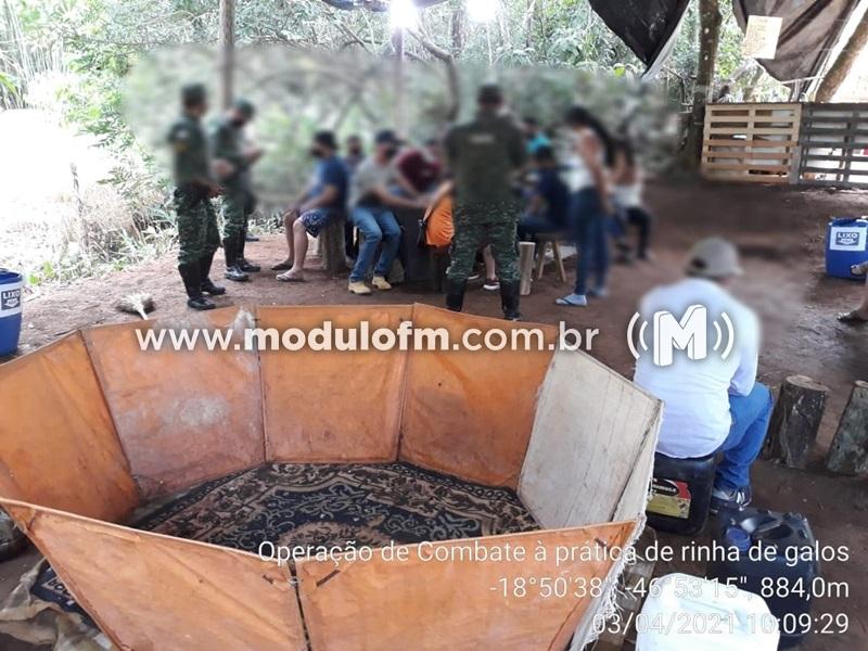 Mais de 20 pessoas são presas em rinha de galo na zona rural de Patrocínio