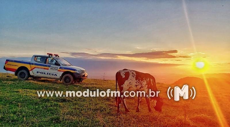 Fazenda é furtada em Patrocínio