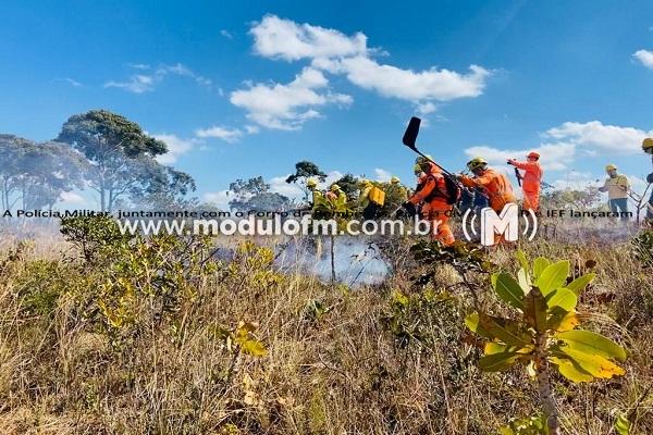 A Polícia Militar, juntamente com o Corpo de Bombeiros, Polícia Civil, SEMAD e IEF lançaram operação especial para identificação e responsabilização de criminosos que provocam incêndio criminosos.