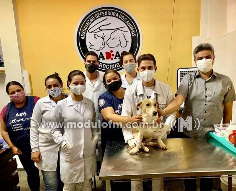 ADA recebeu emenda no valor de R$ 100 mil para castração de animais