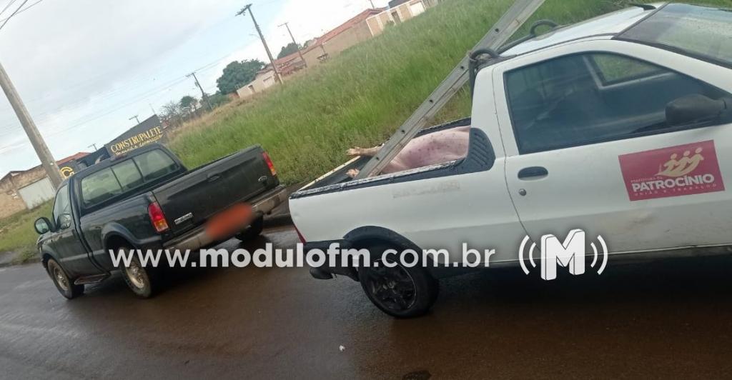Após perseguição policial, suspeitos abandonam caminhonete carregada com carne...