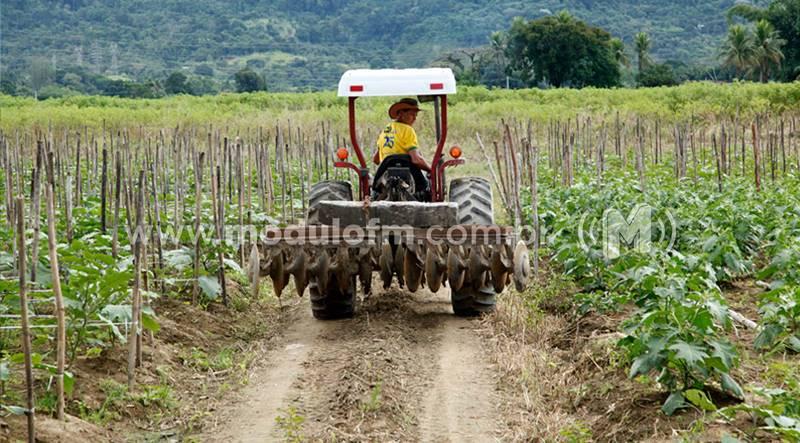 SENAR em parceria com Sindicato Rural de Patrocínio oferecerá quatro cursos gratuitos na próxima semana