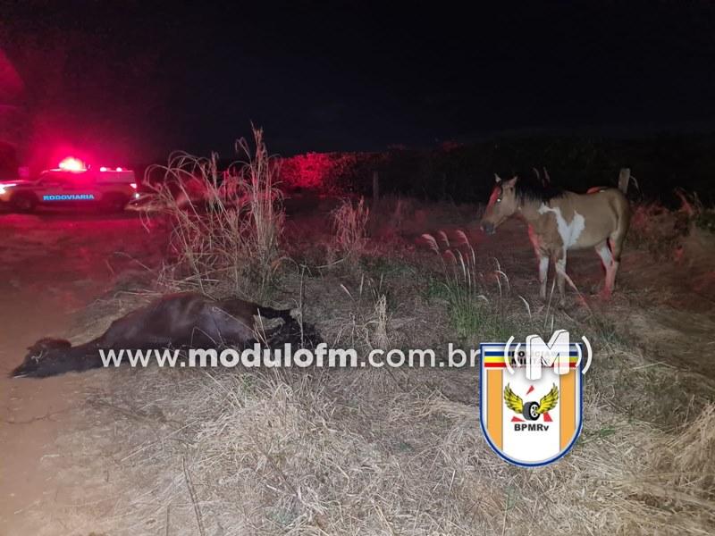 Imagem 4 do post Carro funerário com corpo de trabalhador que se afogou em Coromandel se envolve em acidente com cavalo e pega fogo