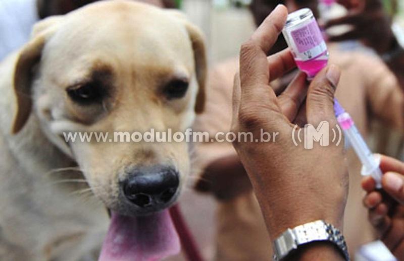 Campanha de Vacinação Antirrábica começa na Zona Rural de Patrocínio no dia 1º de agosto
