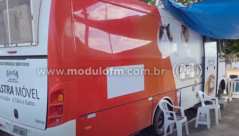 Mais de 350 animais foram castrados através de mutirão gratuito da Associação SOS Animal