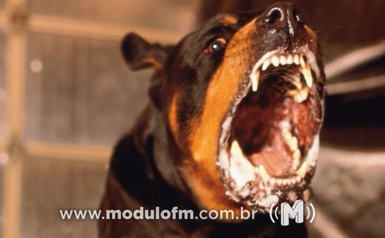 Cão é capturado pelos bombeiros após tentar atacar funcionários de empresa em Patrocínio
