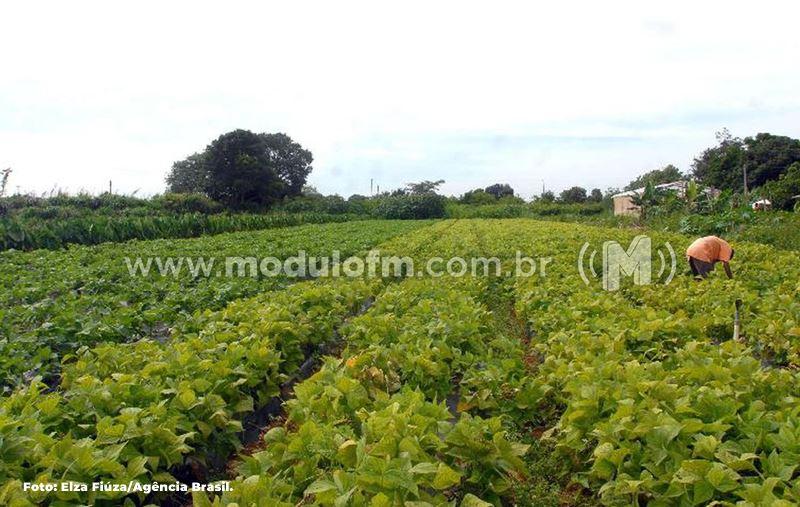 Prazo para declarar imposto sobre propriedade rural vai até 30 de setembro