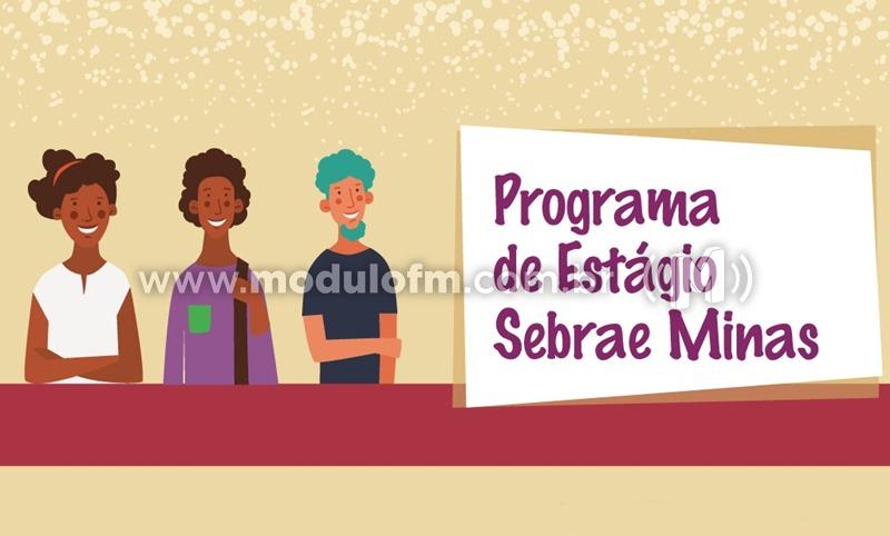 Sebrae Minas abre inscrições para o seu programa de estágio com bolsas de até R$ 1.435