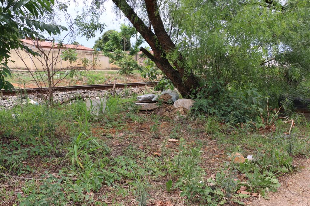 Imagem 11 do post Moradores fazem denúncia e cobram providência por descarte irregular de lixo em Patrocínio
