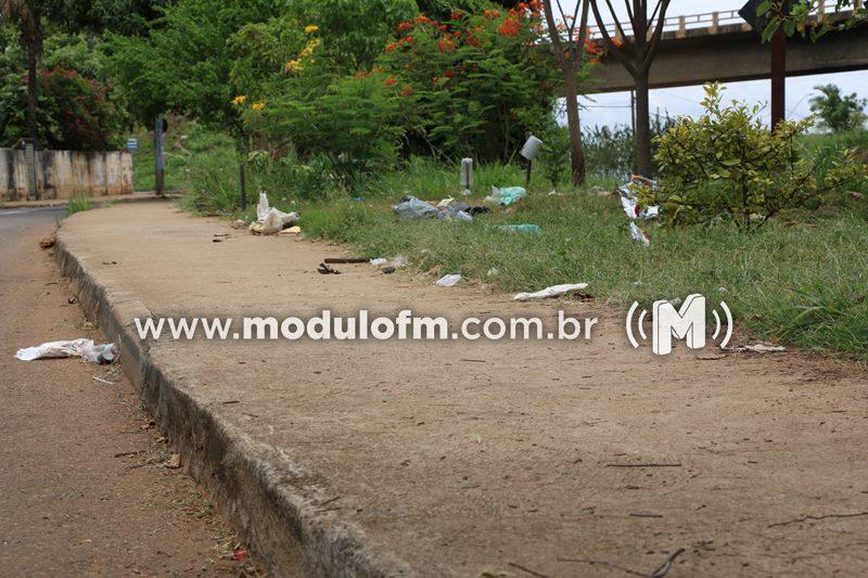 Imagem 12 do post Moradores fazem denúncia e cobram providência por descarte irregular de lixo em Patrocínio