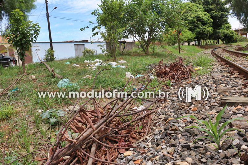 Imagem 13 do post Moradores fazem denúncia e cobram providência por descarte irregular de lixo em Patrocínio