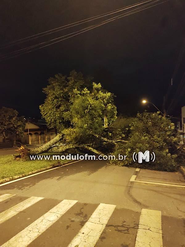 Imagem 5 do post A caótica situação da avenida Dom José André Coimbra volta a preocupar moradores após intenso temporal em Patrocínio.