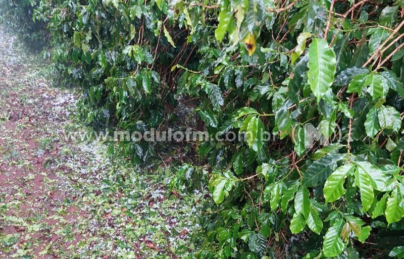 Entidades fazem levantamento de lavouras atingidas por chuvas de granizo