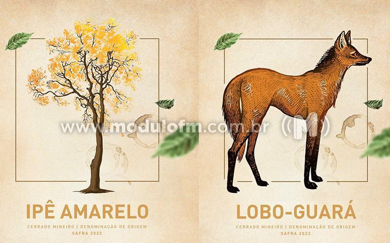 Região do Cerrado Mineiro lança cafés especiais em comemoração aos seus 50 anos