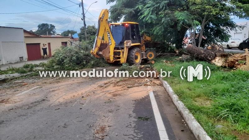 Forte chuva causa estragos em Patrocínio