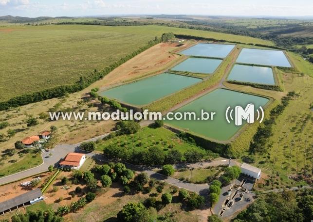 Câmara Municipal aprova aumento na tarifa de esgoto do DAEPA