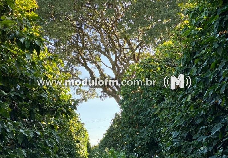 Consórcio Cerrado das Águas divulga resultados da expansão de sua metodologia para bacias hidrográficas da Região do Cerrado Mineiro