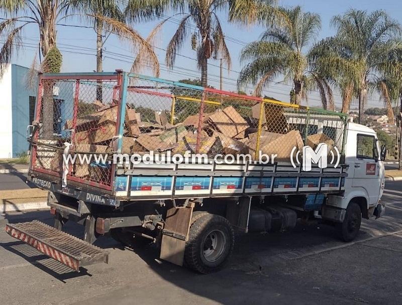 IFTM Campus Patrocínio realiza separação de resíduos sólidos recicláveis destinados a coleta seletiva