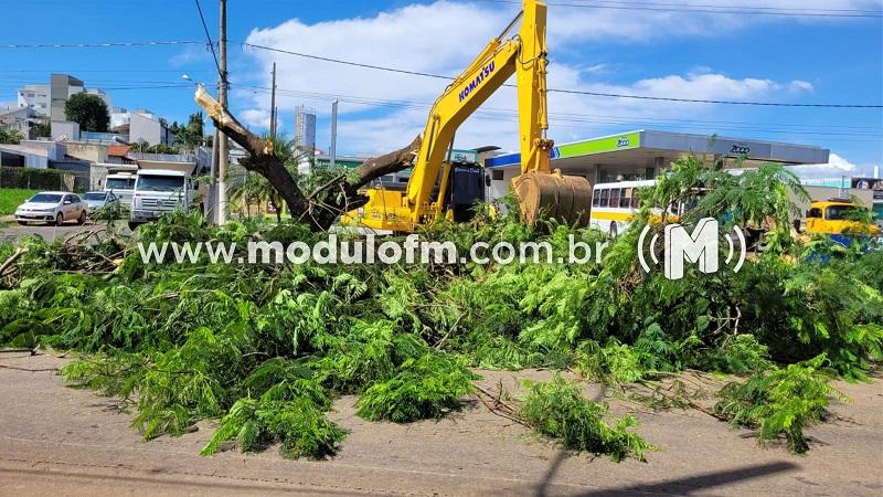 Prefeitura inicia obras de revitalização na avenida do Catiguá