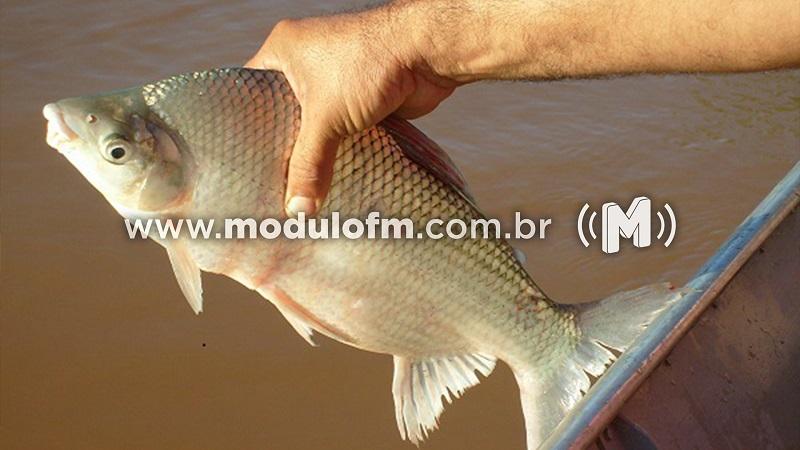 IEF implanta novo sistema para emissão da carteira de pesca amadora