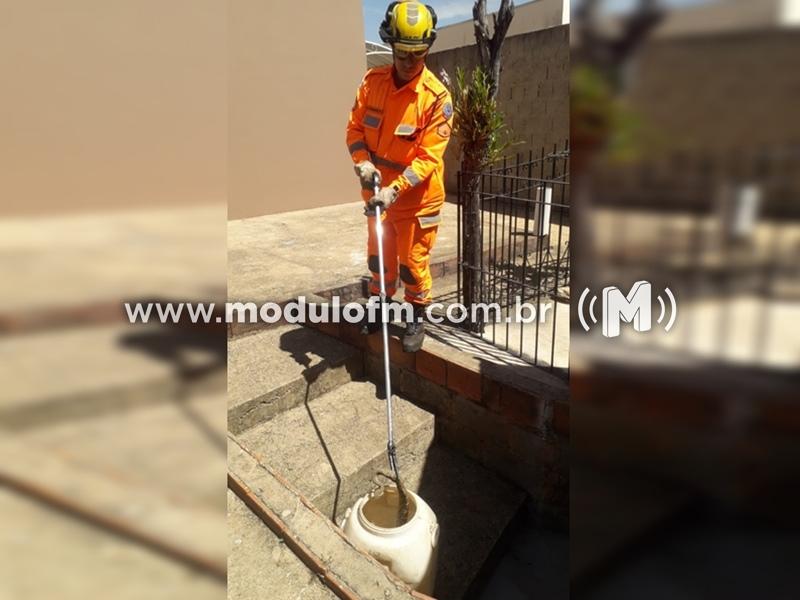 Corpo de Bombeiros age rápido para capturar cobra cascavel e gambá em Patrocínio