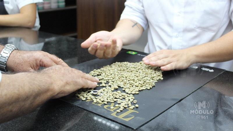 Etapa Campeões Expocacer 2023 encerra recebimento de amostras com recorde de cafés especiais