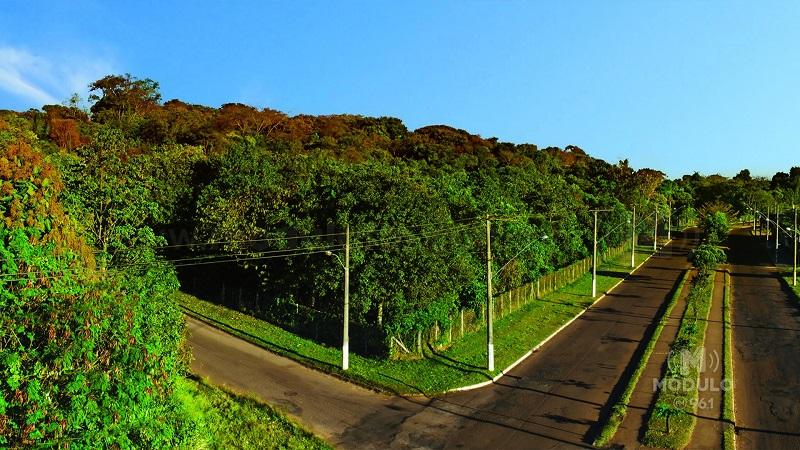Licitação para revitalização do Parque da Matinha é dada como deserta e prefeito anuncia mudanças no edital