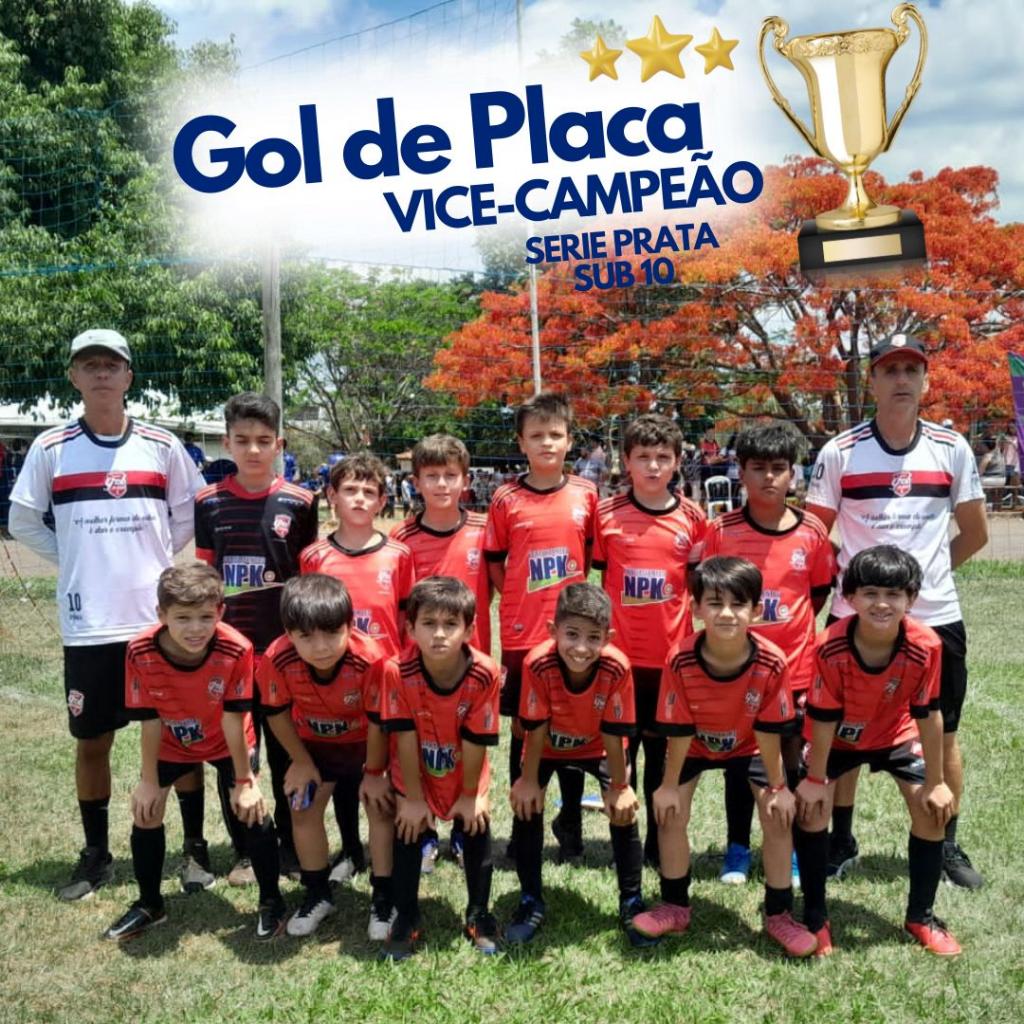 Imagem 2 do post Escolinha de Futebol Gol de Placa brilha na Patos Cup