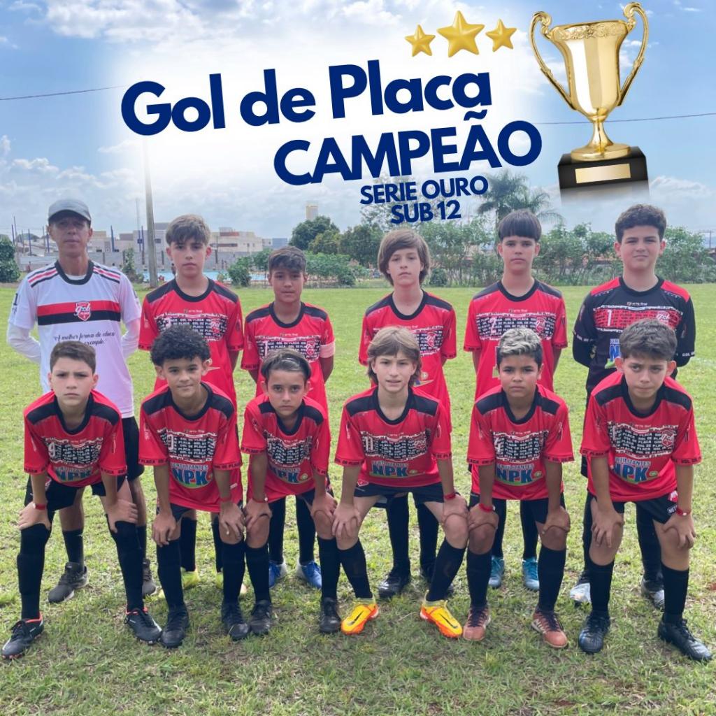 Imagem 1 do post Escolinha de Futebol Gol de Placa brilha na Patos Cup