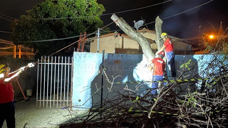 Chuva derruba árvore em muro de residência e Defesa Civil é acionada no bairro Enéas