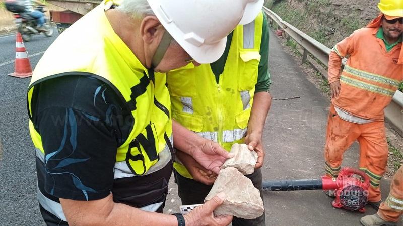 Fóssil de dinossauro é encontrado durante obra em rodovia de Uberaba