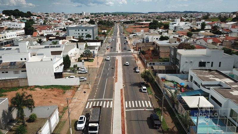 Prefeito anuncia início de plantio dos ipês na Avenida do Catiguá nesta terça-feira (21)