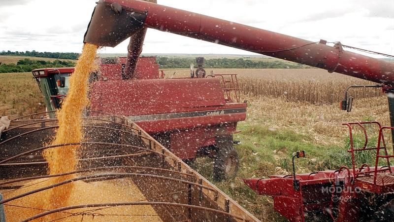 Patrocínio teve 14.689 admissões e 14.002 desligamentos até novembro de 2023; agropecuária lidera contratações
