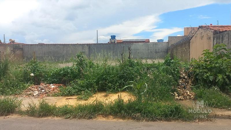 Ratos e escorpiões: lotes sujos revoltam moradores em rua...