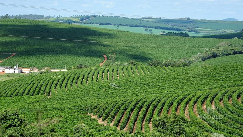 Exportações do agro mineiro batem recorde de volume em 2023