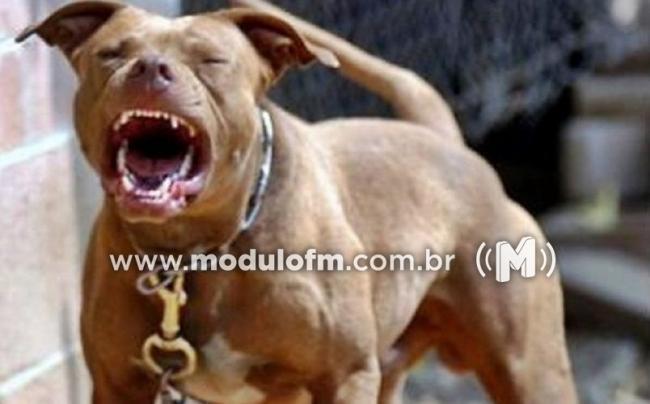 Criança de 8 anos é atacada por pitbull do vizinho em Patrocínio